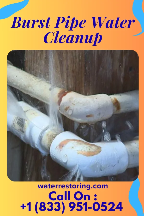 Burst Pipe Water Cleanup in Newport, OR