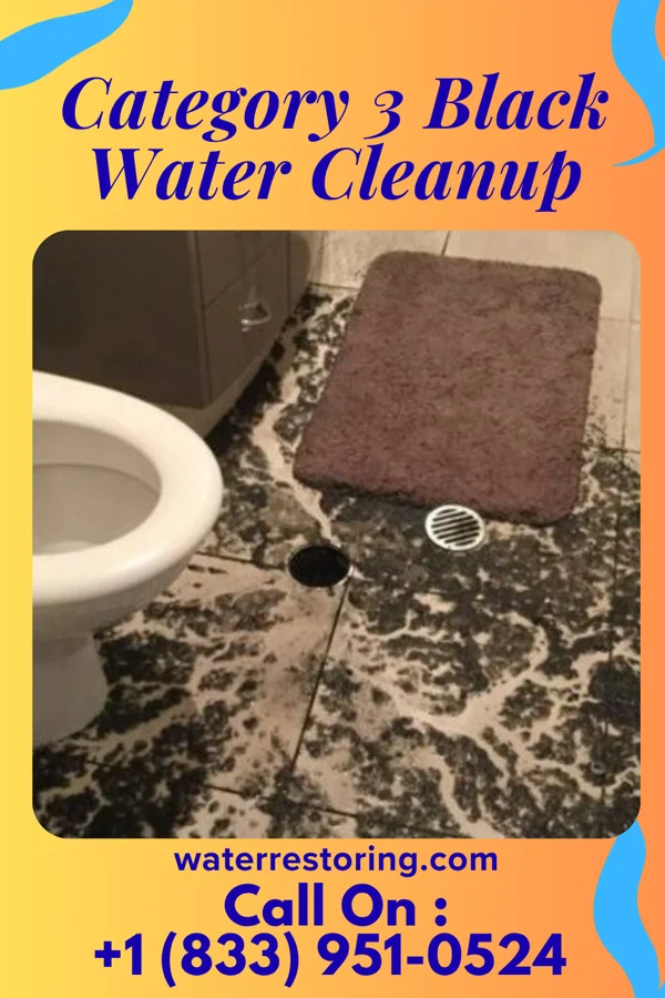 Category 3 Black Water Cleanup in Newport, OR