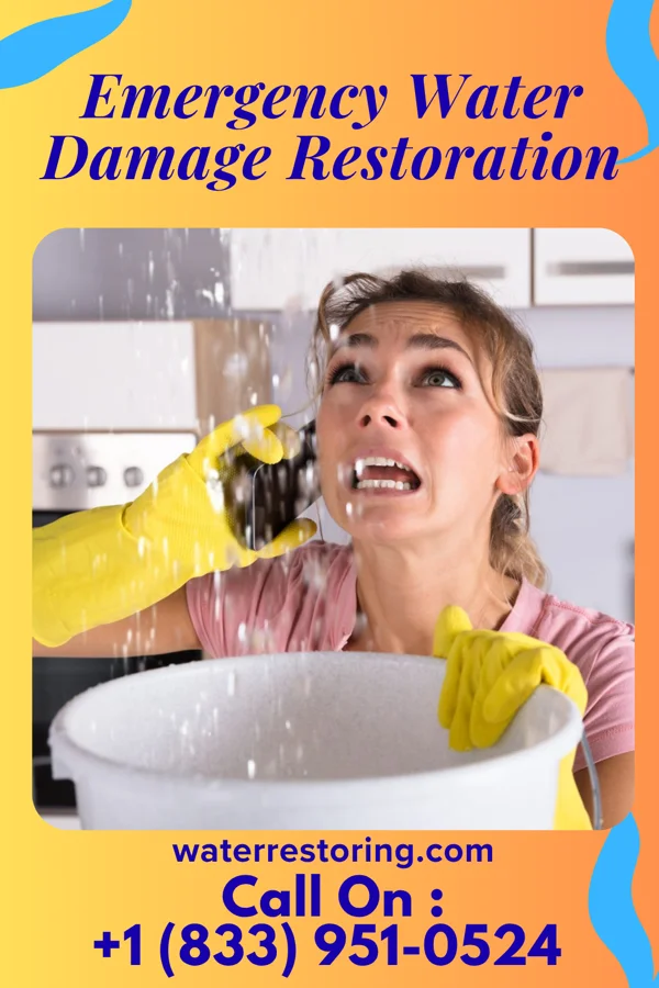 Emergency Water Damage Restoration in Newport, OR