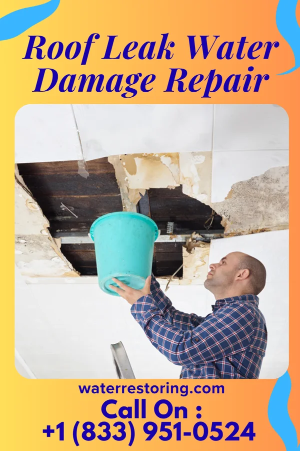 Roof Leak Water Damage Repair in Newport, OR