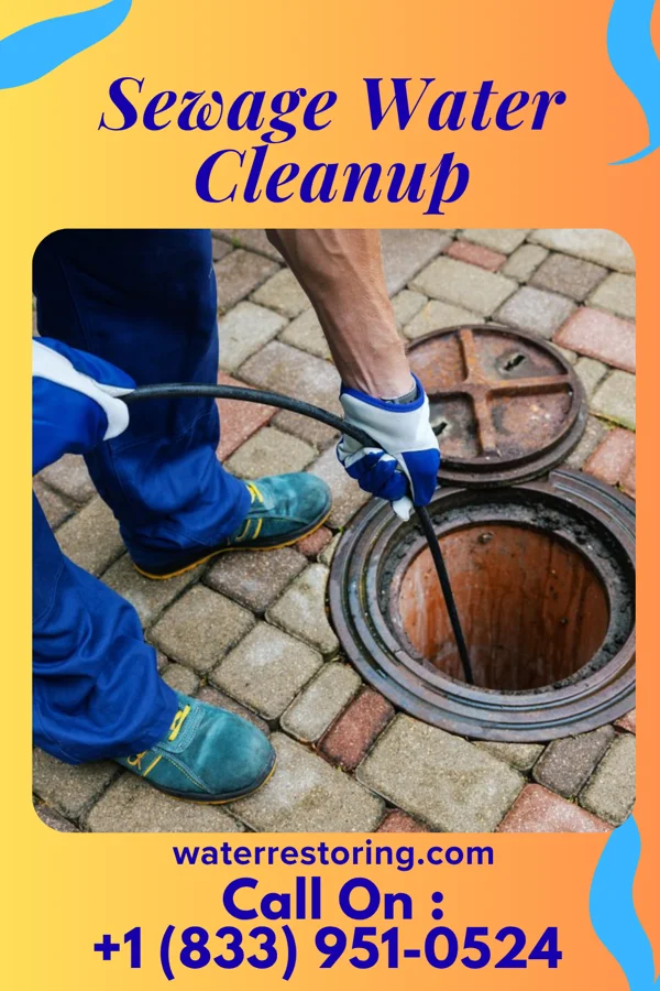 Sewage Water Cleanup in Newport, OR