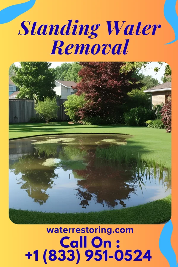 Standing Water Removal in Newport, OR